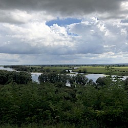 Blick auf die Elbe